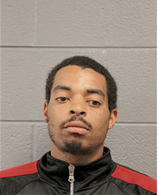 DESHAWN N ADAMS, Cook County, Illinois