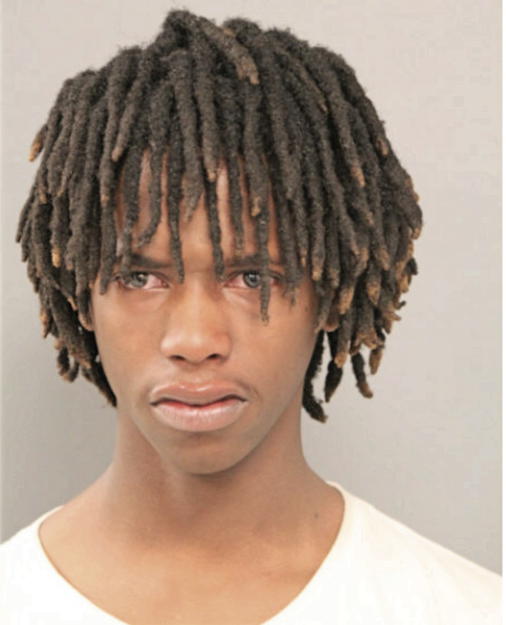 D'ANDRE ANDERSON, Cook County, Illinois