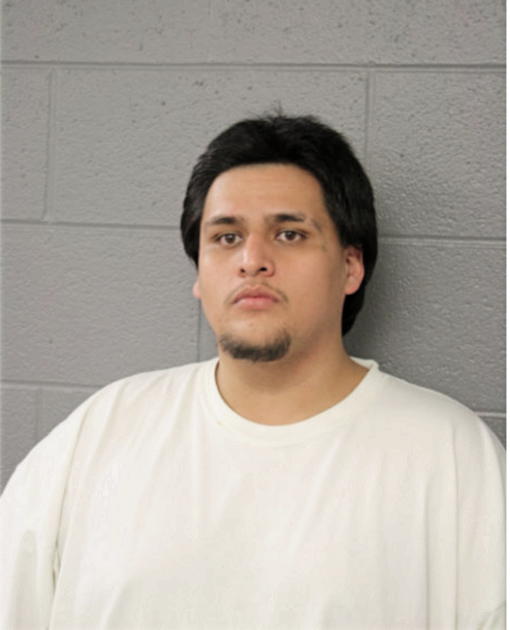 MARCO A BRISENO, Cook County, Illinois