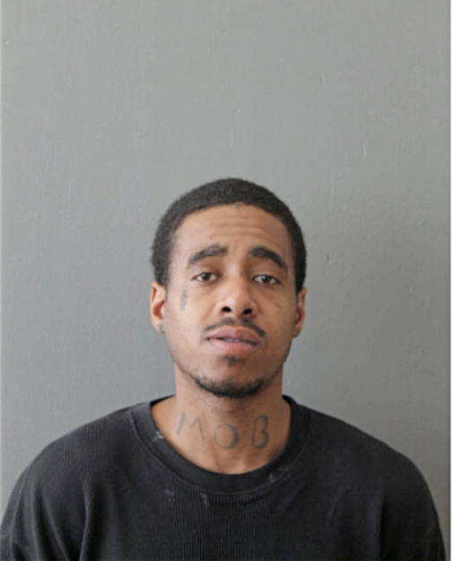 STEVEN A BROWN, Cook County, Illinois