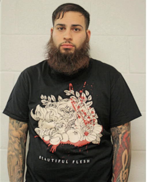 MICHAEL J DADDIO, Cook County, Illinois