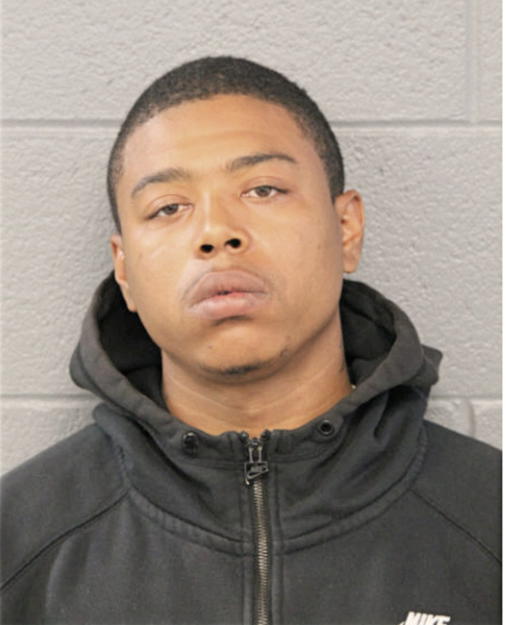 NATHANIEL T DIXON, Cook County, Illinois