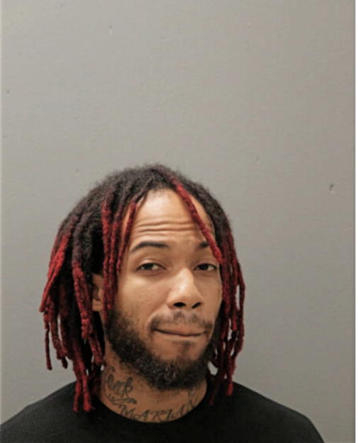 MICHAEL C EVANS, Cook County, Illinois