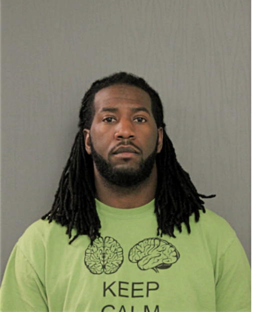 ION D FALKNER, Cook County, Illinois