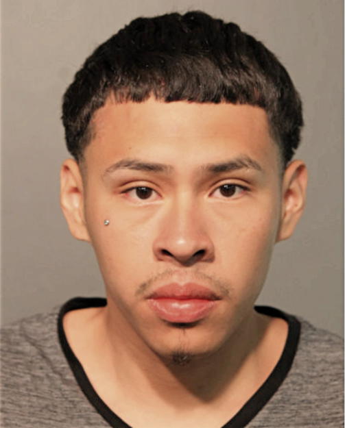MISAEL FLORES, Cook County, Illinois