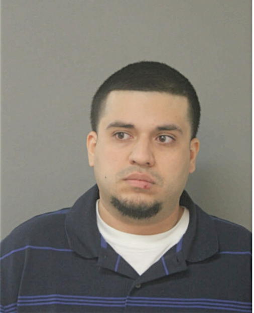 RAMIRO R FLORES, Cook County, Illinois