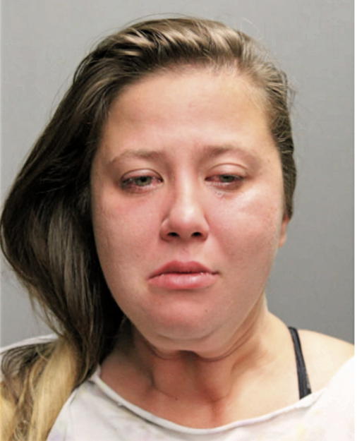 SOPHIA E HOGAN, Cook County, Illinois