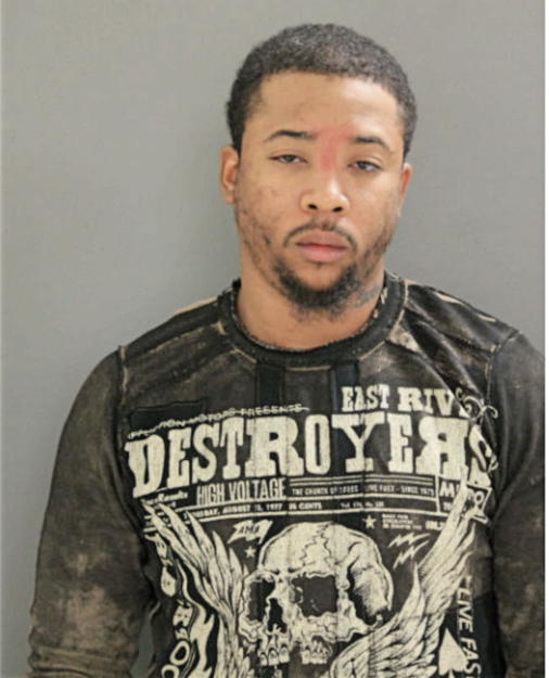 BRANDON HOWARD, Cook County, Illinois