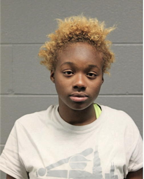 TIERRA S JOHNSON, Cook County, Illinois