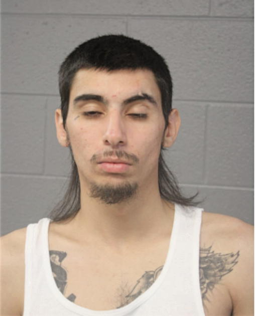 ANTHONY LARA, Cook County, Illinois