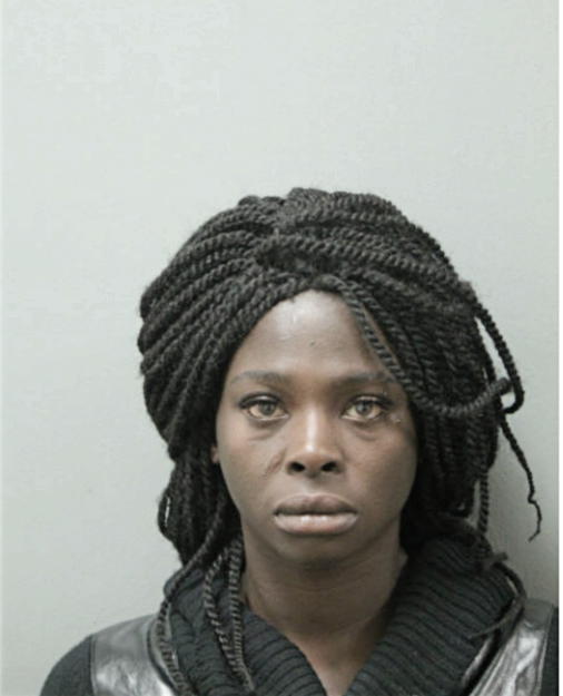 RACHEL D LEMMONS, Cook County, Illinois