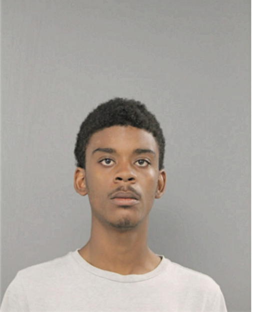 DEANDRE LEWIS, Cook County, Illinois