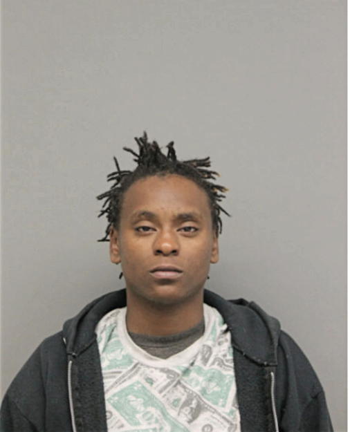 WHITNEY L MARTIN, Cook County, Illinois