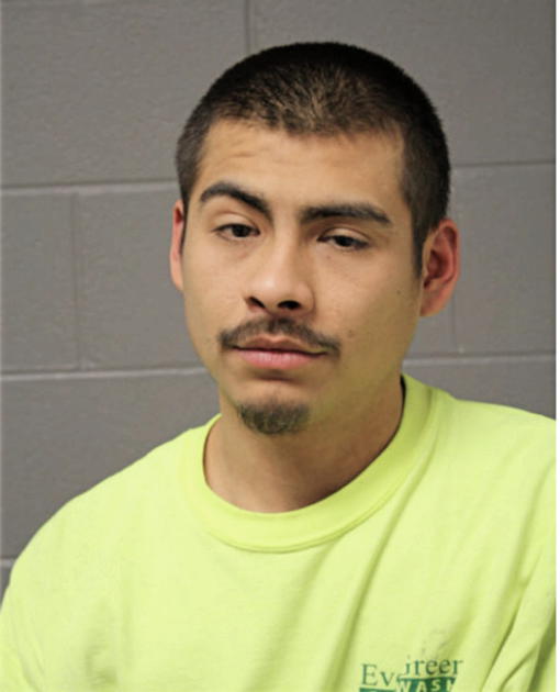 JOSE E MARTINEZ, Cook County, Illinois