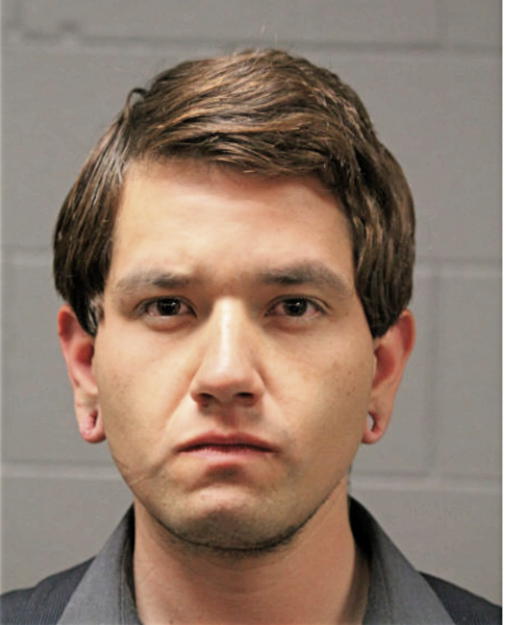 DIEGO A MATA, Cook County, Illinois