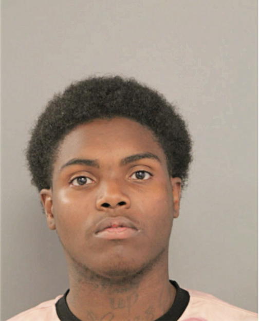 BRANDON K MCGEE, Cook County, Illinois