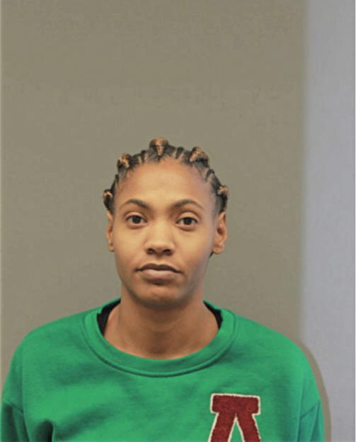 LISA M NELSON, Cook County, Illinois