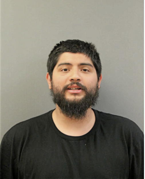 ALEX A REYES-LOPEZ, Cook County, Illinois