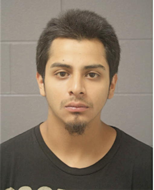 SAMUEL O SALCEDO, Cook County, Illinois