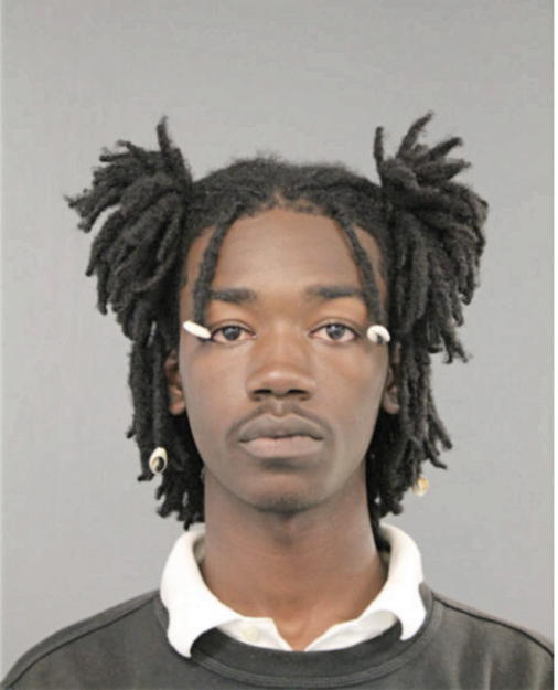 DONOVAN L WARREN, Cook County, Illinois