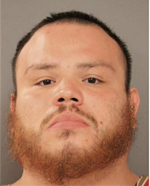 NICKO ALBOR, Cook County, Illinois