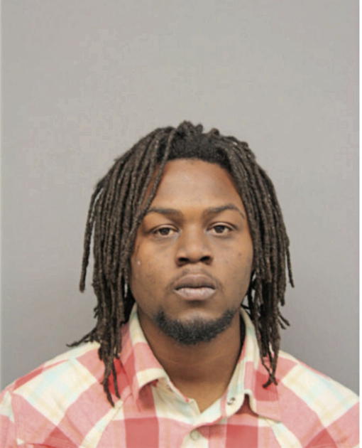 ERIC ANDERSON, Cook County, Illinois