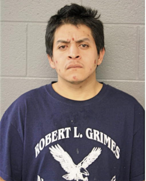 LUIS CARAPIA, Cook County, Illinois