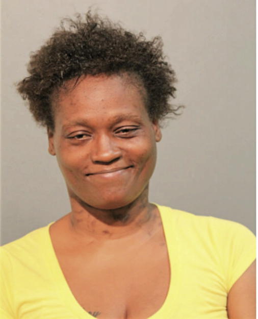 LYNETTE R DISMUKE, Cook County, Illinois