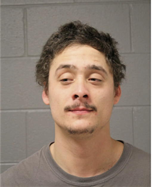 ANTONIO J FELICIANO, Cook County, Illinois