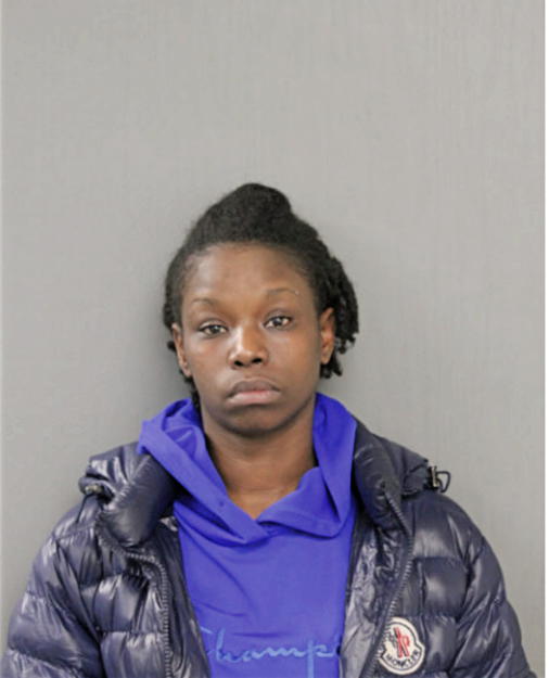 YAZMIN L FLOWERS, Cook County, Illinois