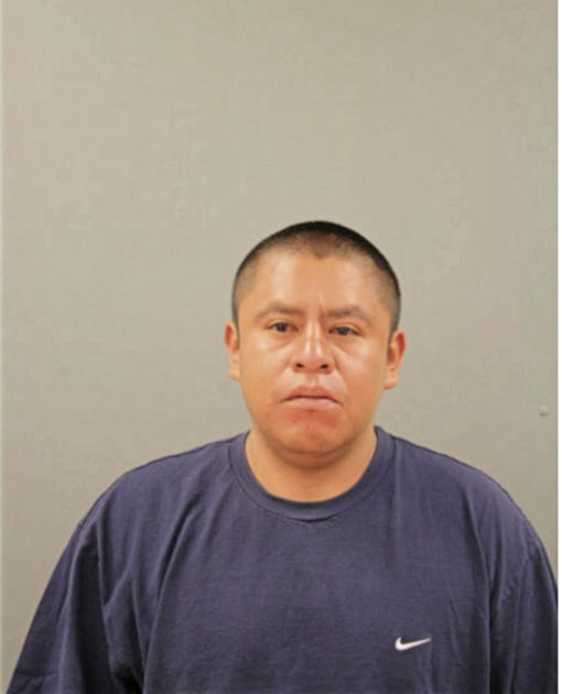 ANDRES GONZALEZ, Cook County, Illinois
