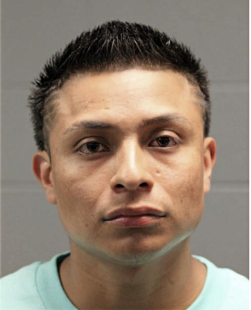 SERGIO GUZMAN, Cook County, Illinois