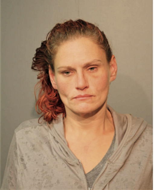TANYA M HOBYL, Cook County, Illinois