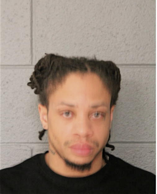 TERRANCE J HOGAN, Cook County, Illinois