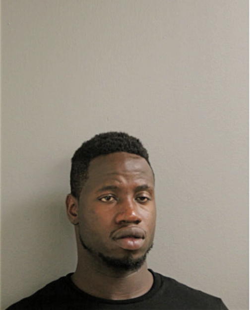 JOSHUA S JOHNSON, Cook County, Illinois