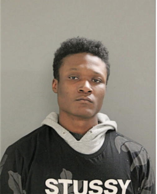 MICHAEL K MATHES, Cook County, Illinois
