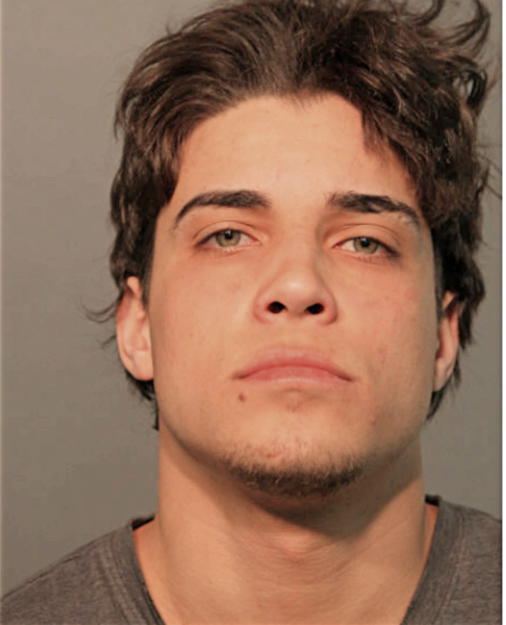 JESUS J MENDEZ-SANCHEZ, Cook County, Illinois