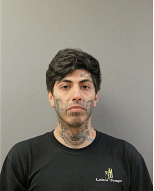 JUAN D PENA, Cook County, Illinois