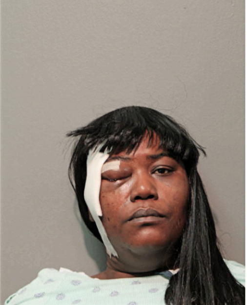 LESLIE S PIERCE, Cook County, Illinois