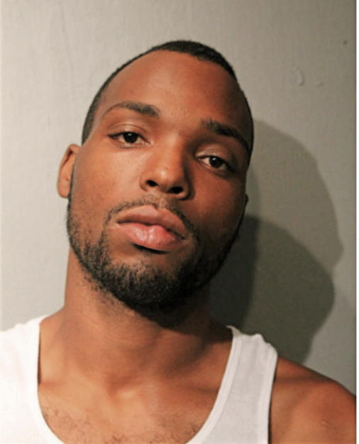 RYAN D RODGERS, Cook County, Illinois