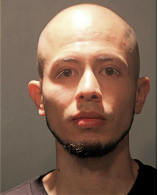MISRAIM ROSENDO, Cook County, Illinois