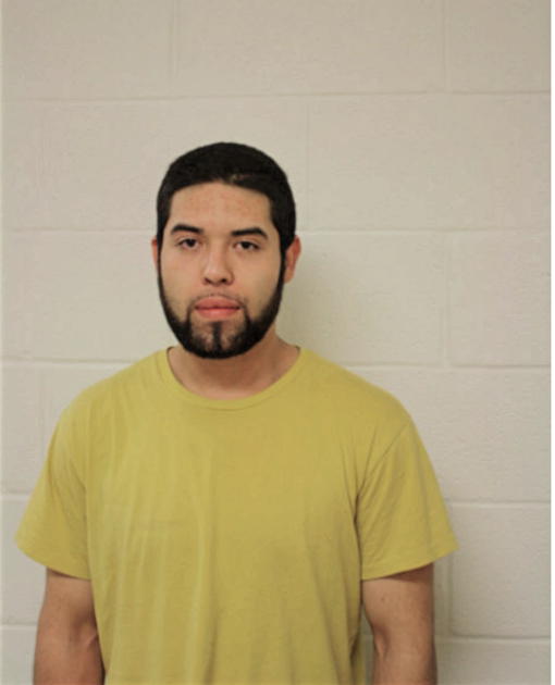 CHISTIAN SALVADOR, Cook County, Illinois