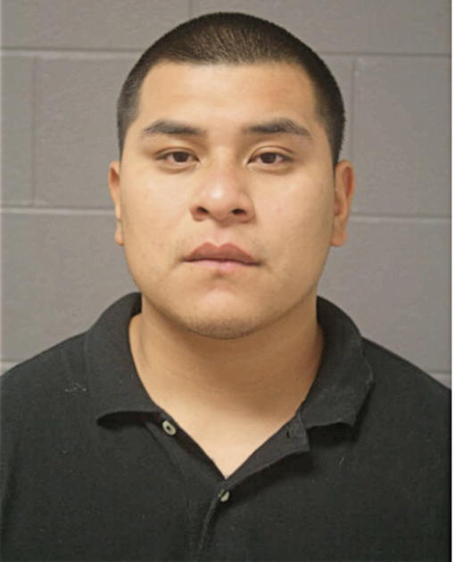EMMANUEL C SANCHEZ, Cook County, Illinois