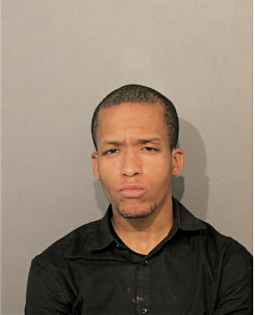 BRIAN W SEARLES, Cook County, Illinois