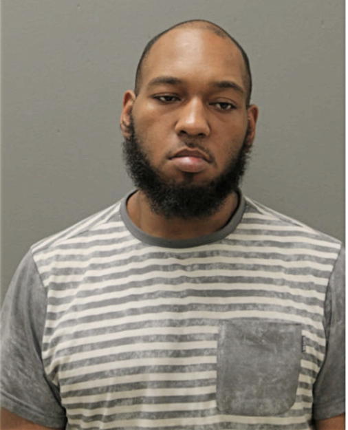 TRAVIS R SIMS, Cook County, Illinois