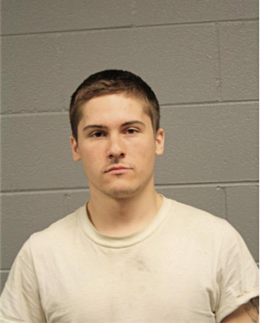 KYLE P SISKA, Cook County, Illinois