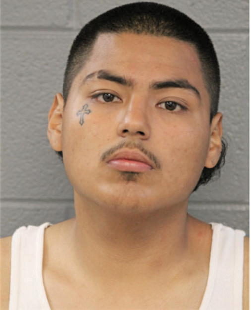 ERIC TORRES, Cook County, Illinois