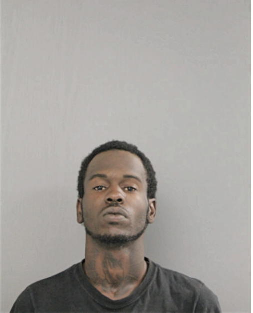LASHAWN D TURNER, Cook County, Illinois