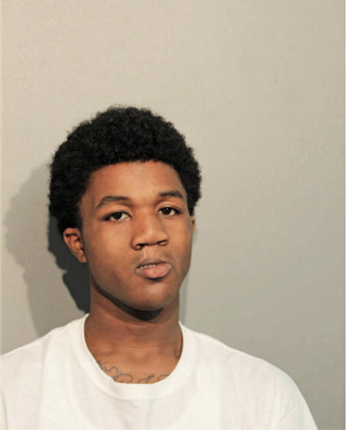 DREQUAN Q WOODLAND, Cook County, Illinois
