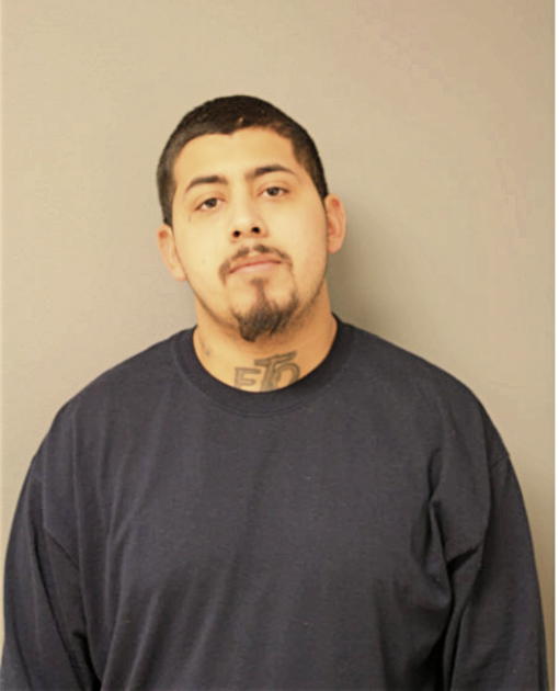 GUILLERMO ZAMUDIO, Cook County, Illinois